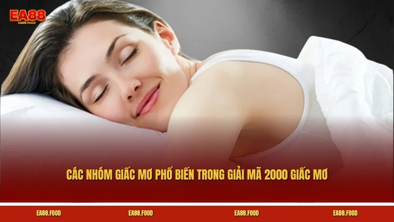 Các nhóm giấc mơ phổ biến trong giải mã 2000 giấc mơ