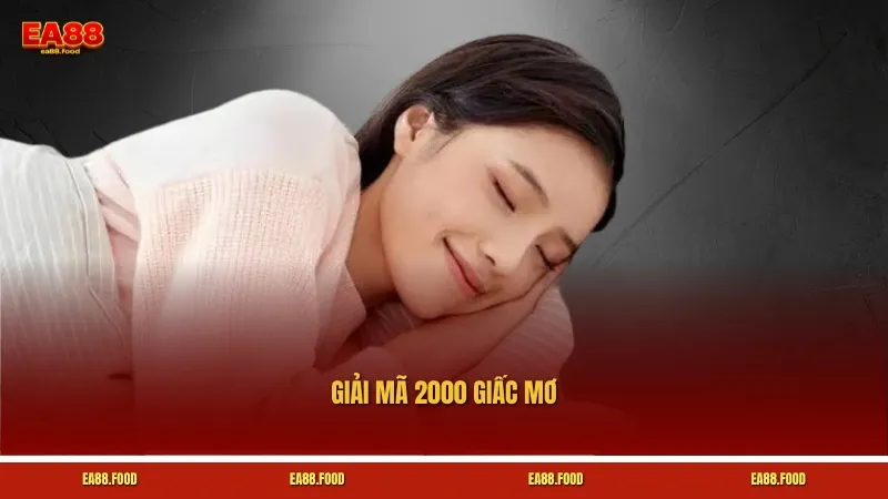Giải Mã 2000 Giấc Mơ Chính Xác – Khám Phá Con Số Liên Quan
