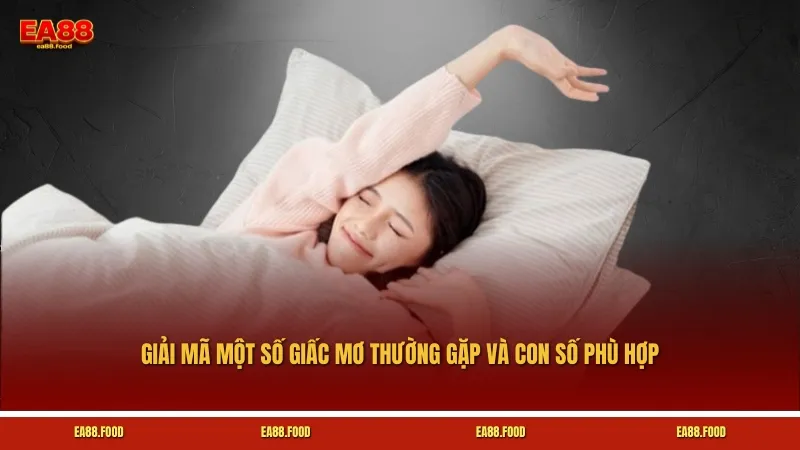 Giải mã một số giấc mơ thường gặp và con số phù hợp