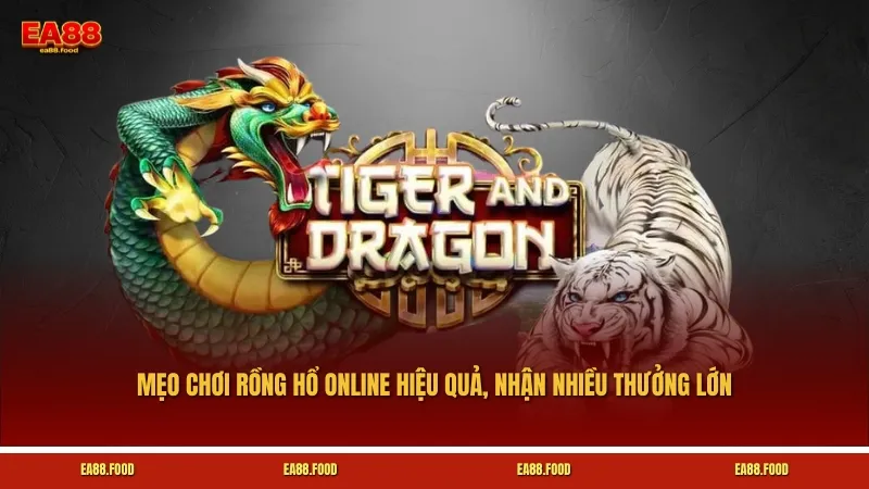 Mẹo chơi Rồng Hổ online hiệu quả, nhận nhiều thưởng lớn